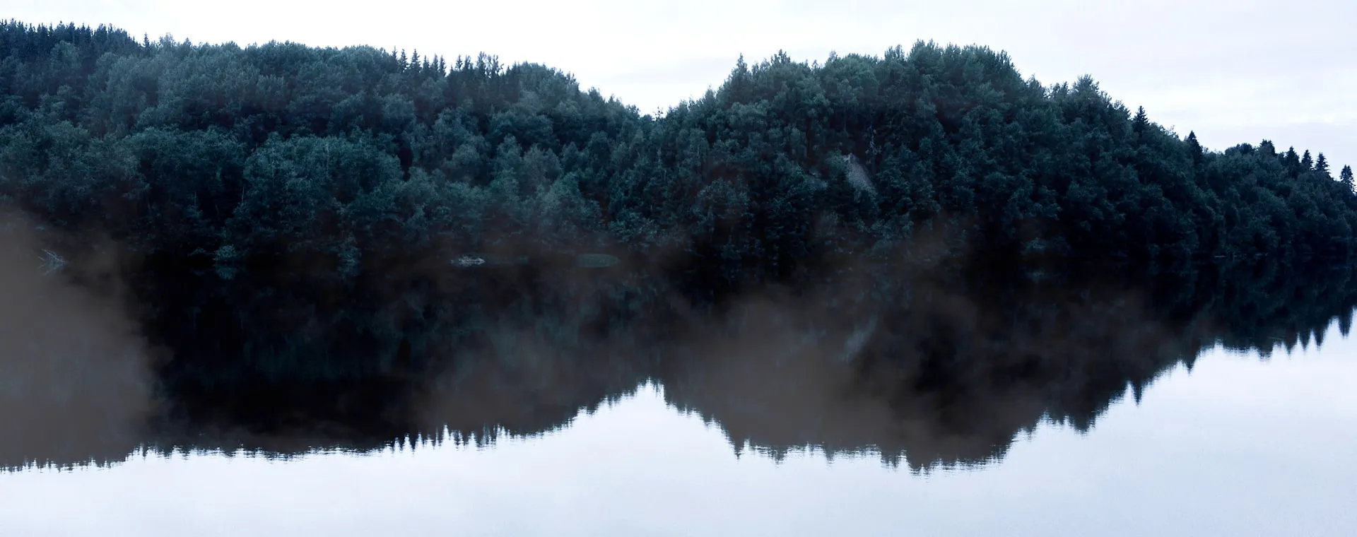 Vattendrag omgivet av skog.