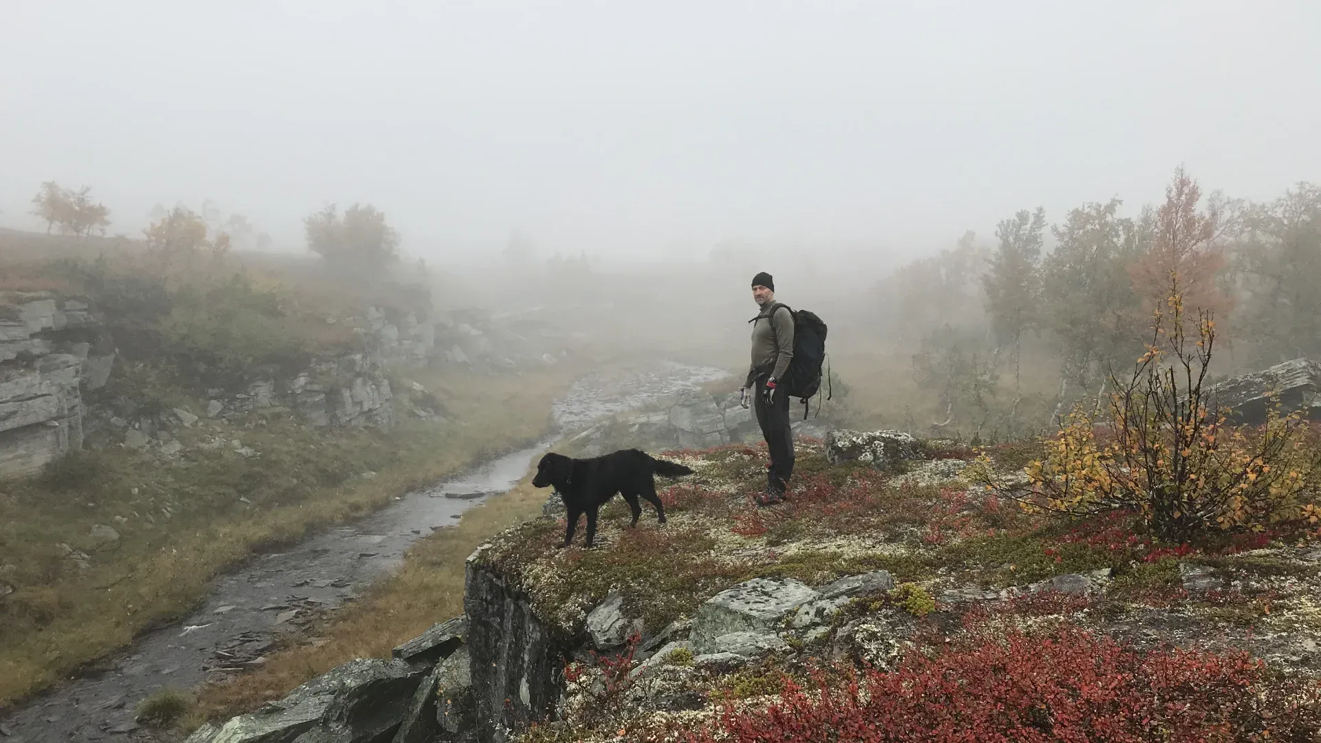 Vandrare med hund på en fjällhed i dimma, intill en bäck.