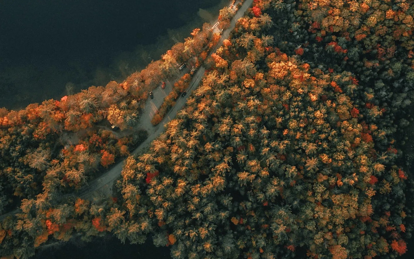 Flygbild över en sjö, blandskog i höstfärger och en väg som löper genom skogen.